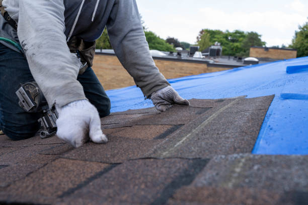 Best Solar Panel Roofing Installation  in Parsons, TN