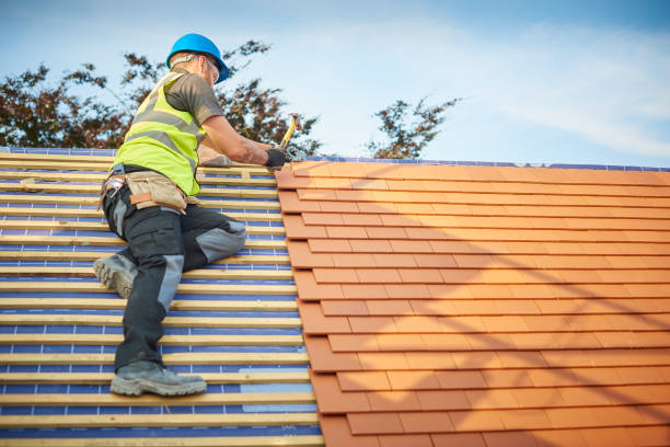 Best Roof Insulation Installation  in Parsons, TN